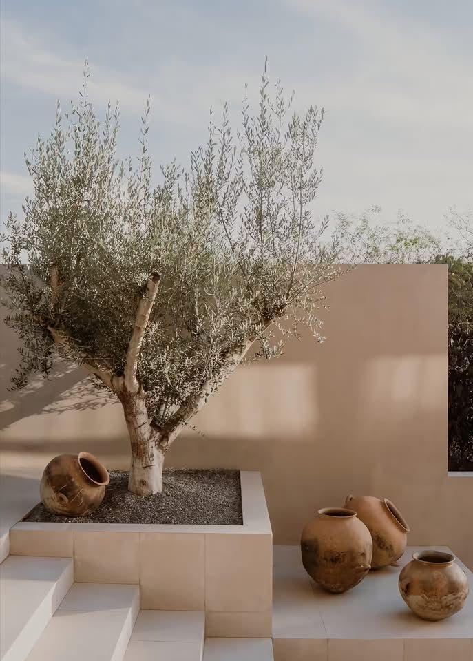 WHITE RESIDENCE VILLAS BORSH