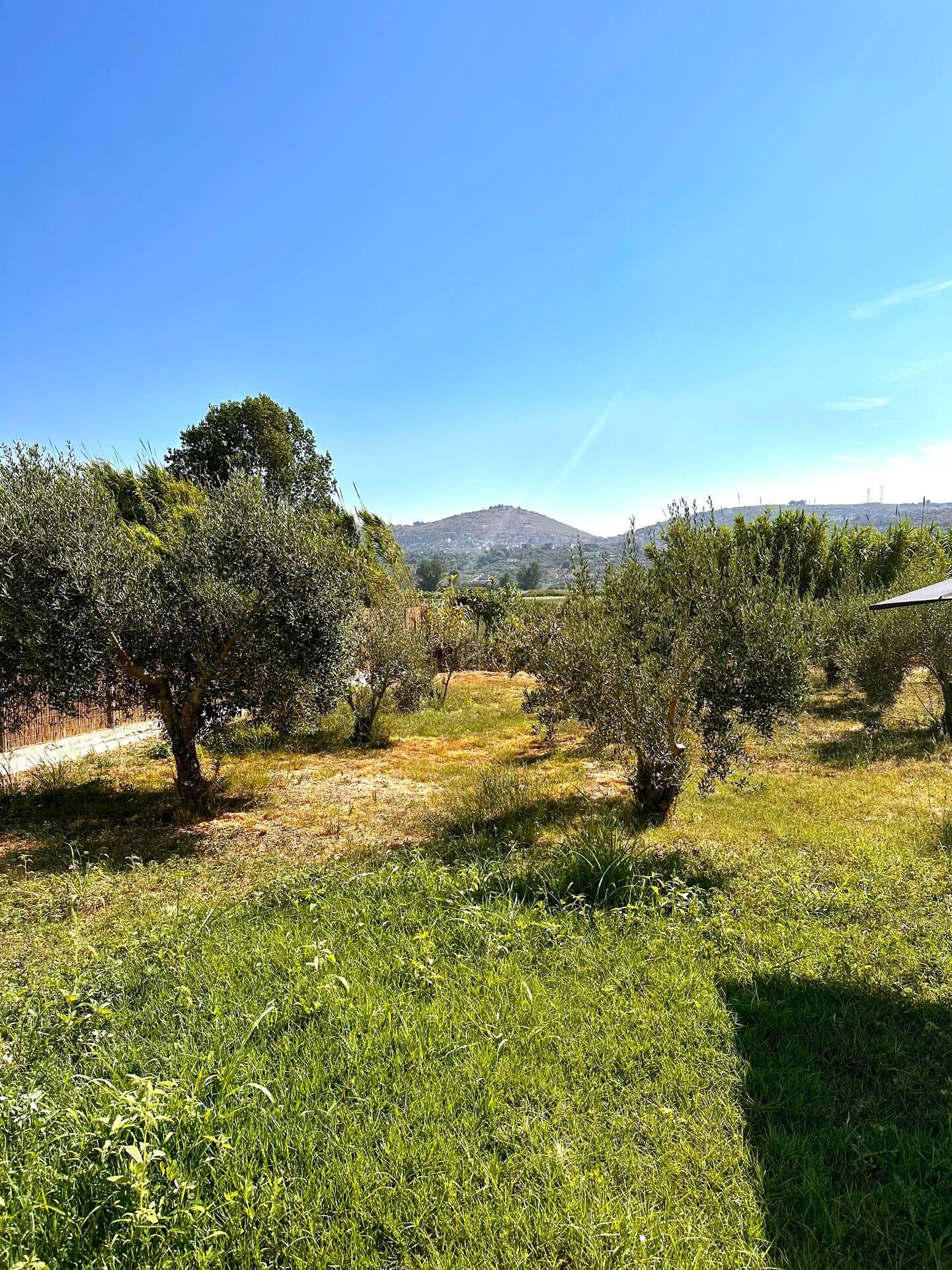 Villa Property for Sale in Southern Albania – 3 Bedroom House on 1320 m² Land