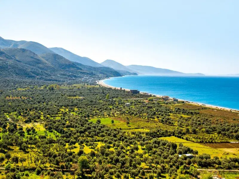 Invest in Albania: Land for Sale in Borsh, 150m from the Sea – 1,569 m²