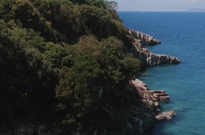 Buy Now or Wait? Property Price Predictions in Albania