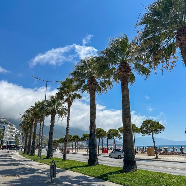 Premium Commercial Space for Sale – 200 m² | Lungomare, Vlora, Albania