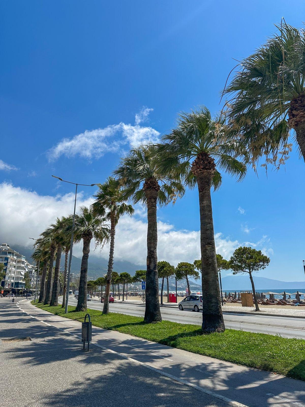 Premium Commercial Space for Sale – 200 m² | Lungomare, Vlora, Albania