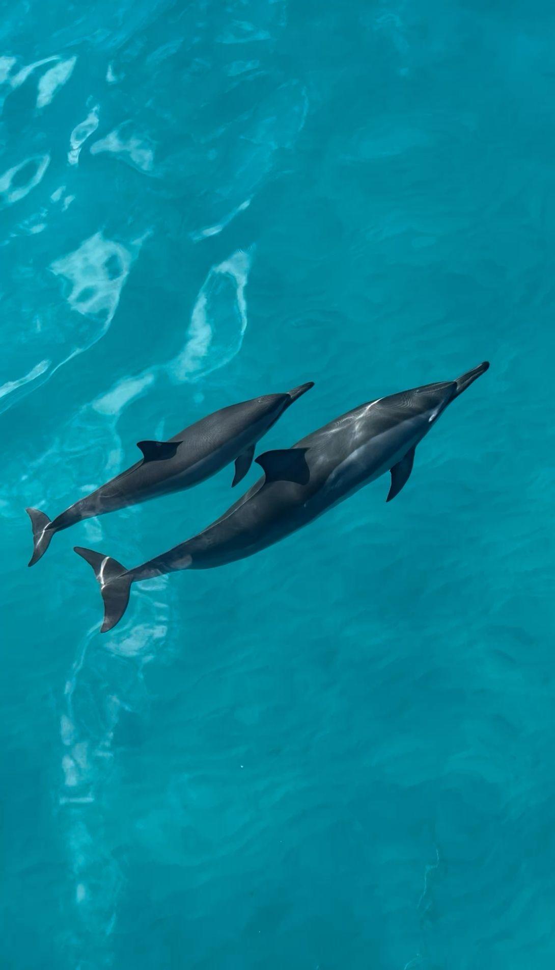 Where Albania Is Headed: The Sectors with the Most Growth Potential (2025–2030)