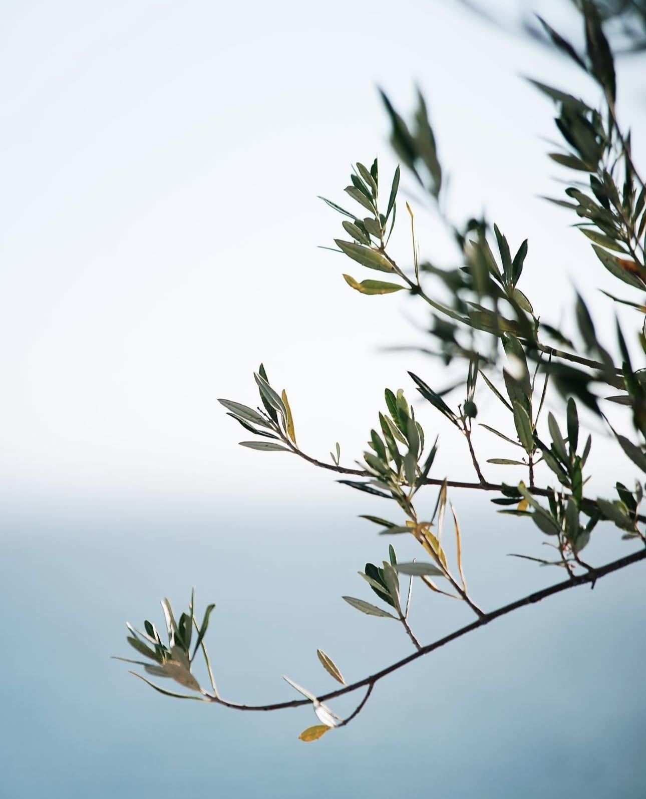 Why Some Apartments Are Cheaper During Construction—And How to Lock In the Best Price