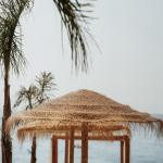 Living Under the Sun: How Albania’s Climate Shapes Everyday Life and Property Investment