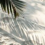 Tourists Don’t Know About These Beaches — But Investors Should