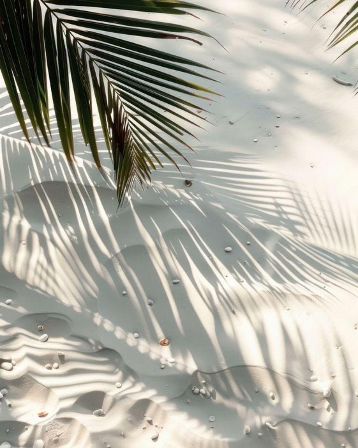 Tourists Don’t Know About These Beaches — But Investors Should