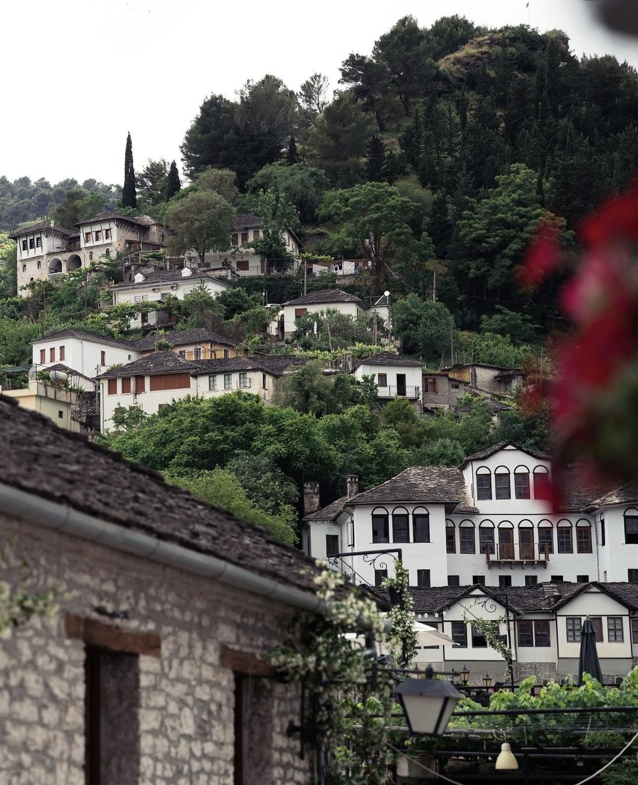 Do People Speak English in Albania? A Local’s Honest Take (From Someone Who Works With Foreign Buyers Every Day