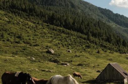 Digital Nomad Life in Albania: Why Remote Workers Are Choosing Saranda and the Albanian Riviera