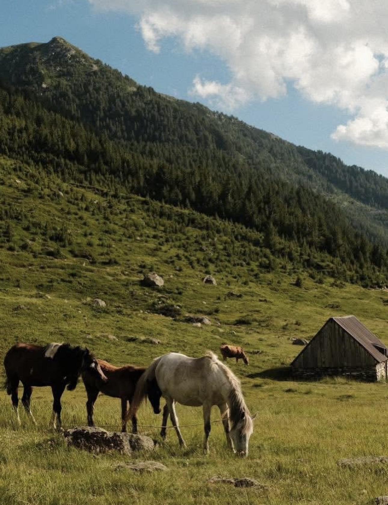 Digital Nomad Life in Albania: Why Remote Workers Are Choosing Saranda and the Albanian Riviera
