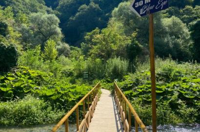 Cash vs. Bank Transfer When Buying Property in Albania