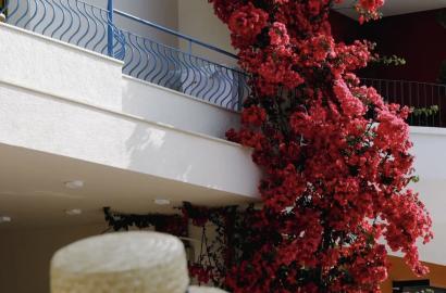Could Albania Be Your Second Home After Retirement?