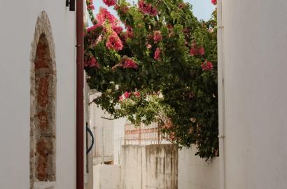 Why Albania Is the Perfect Place to Rebuild Yourself After a Busy Life