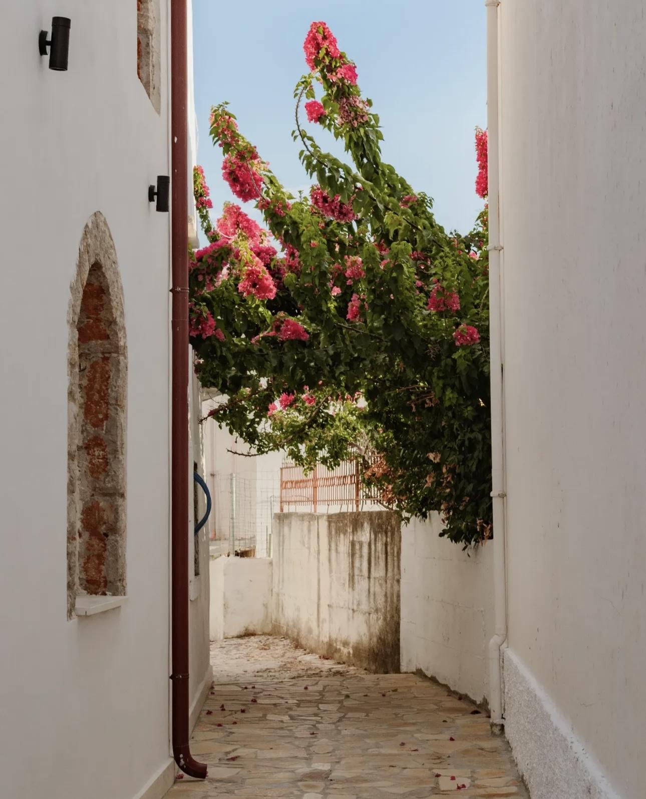 Why Albania Is the Perfect Place to Rebuild Yourself After a Busy Life