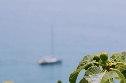 Albanian Hospitality Isn’t Just a Word – It’s Why Our Clients Keep Coming Back