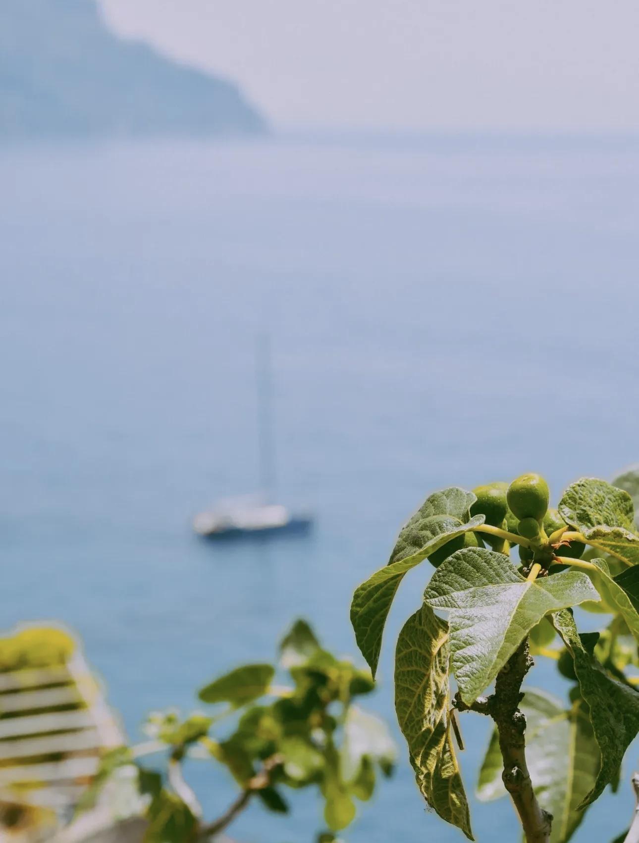 Albanian Hospitality Isn’t Just a Word – It’s Why Our Clients Keep Coming Back