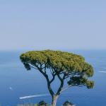 Why Investors Feel Safe in Southern Albania