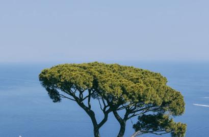 Why Investors Feel Safe in Southern Albania