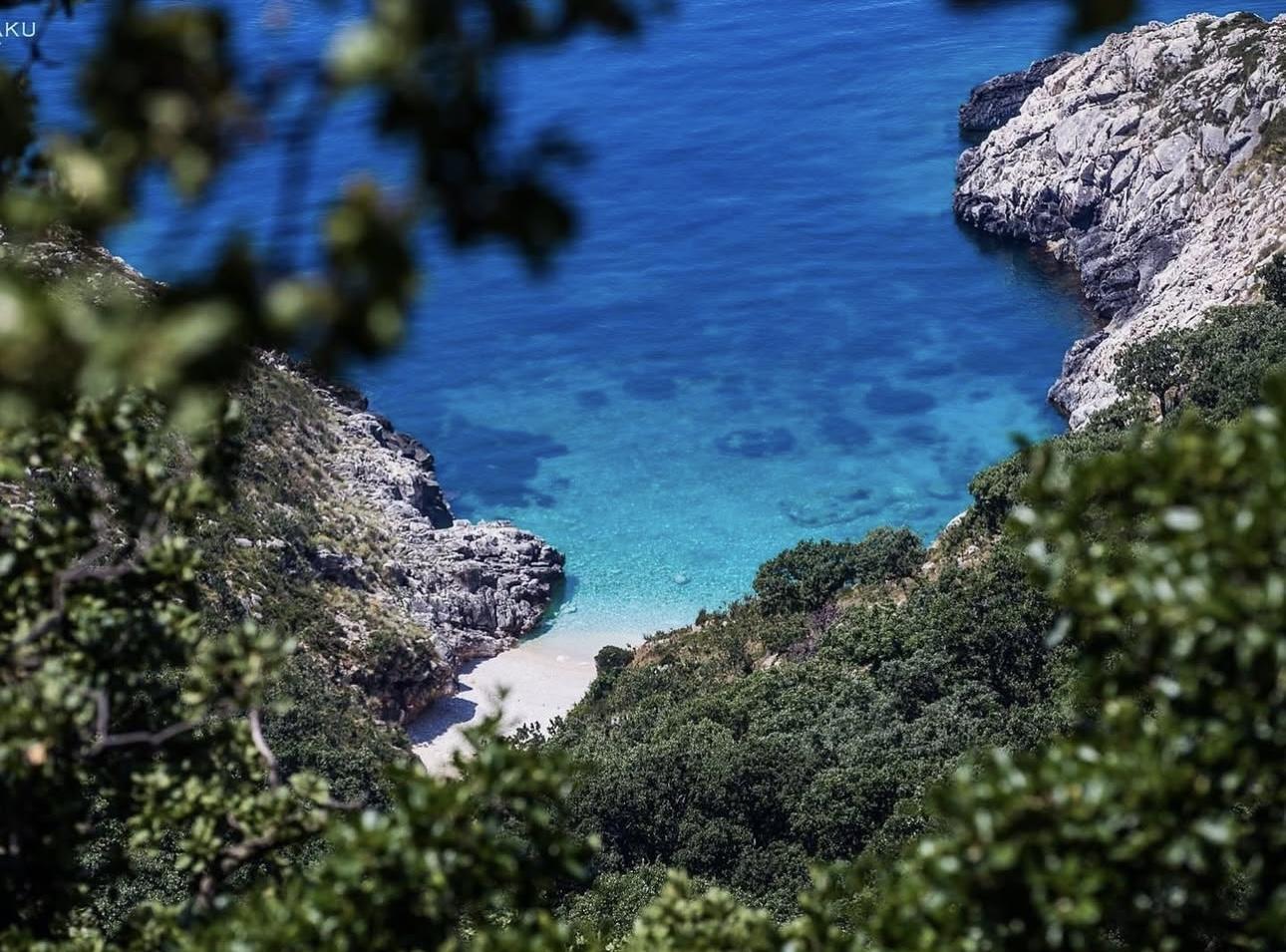 Zero Commission, Maximum Value: How Viva View Works Differently