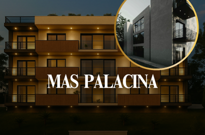 MAS PALACINA SARANDA