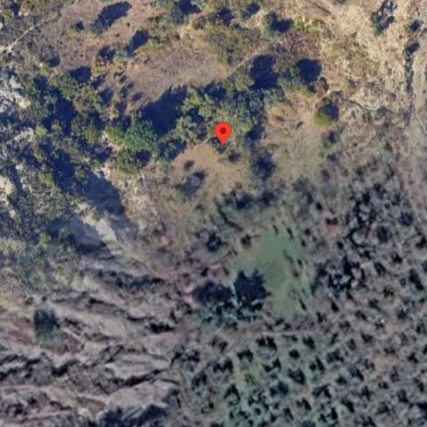 Działka z gajami oliwnymi na sprzedaż w Picallë, Tirana | 3 000 m²