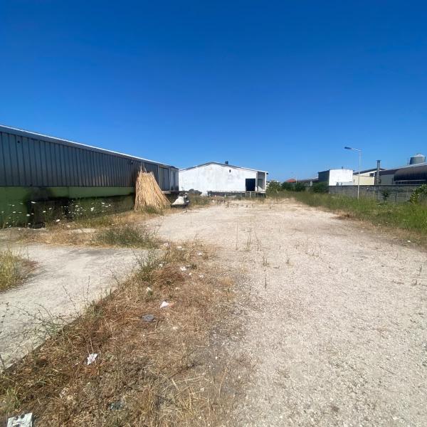 Industrial Property for Sale in Xhafzotaj, , Durrës | 8,200 m² Land and 2,500 m² Warehouses